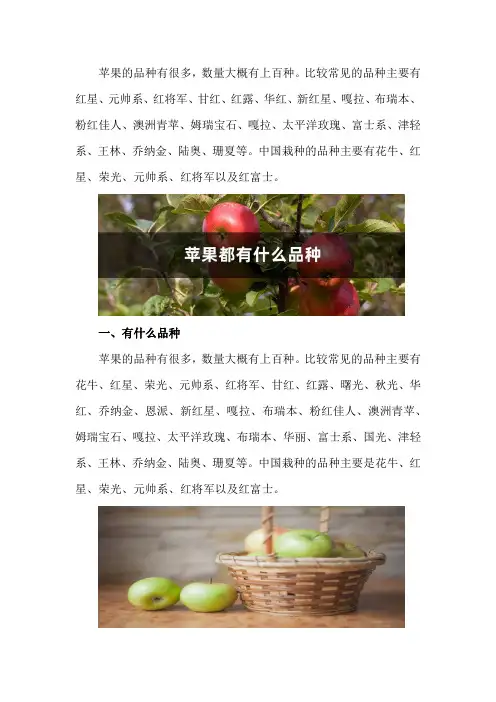 苹果都有什么品种,十大优质苹果品种