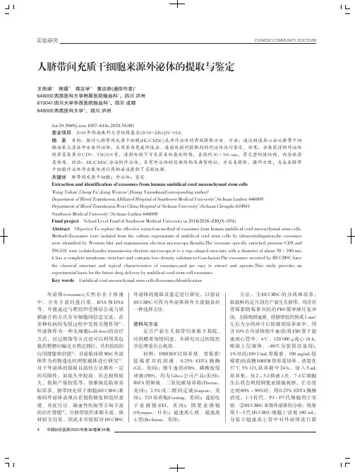 人脐带间充质干细胞来源外泌体的提取与鉴定