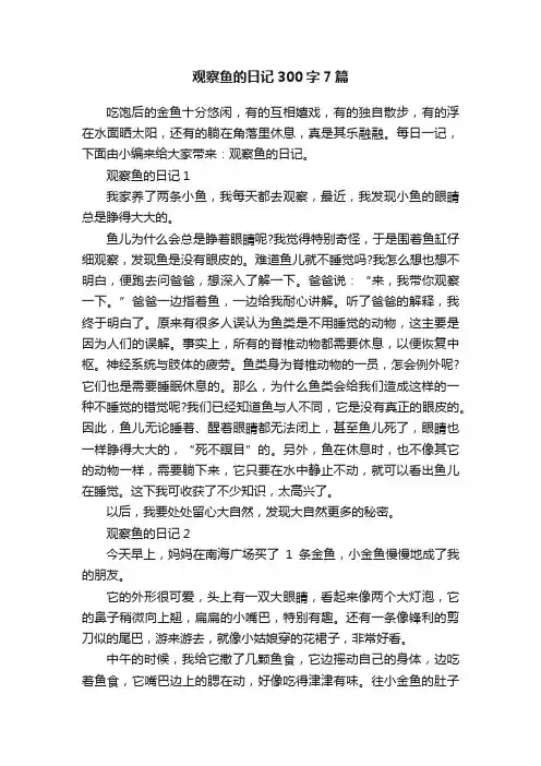 观察鱼的日记300字7篇