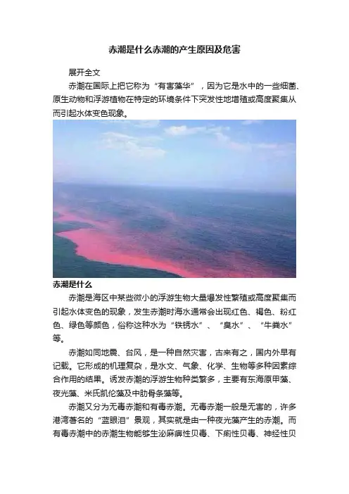 赤潮是什么赤潮的产生原因及危害