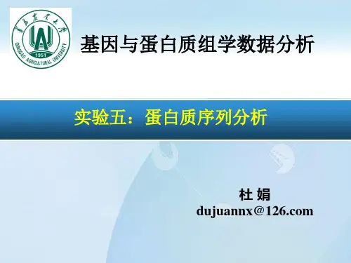 实验五蛋白质序列分析