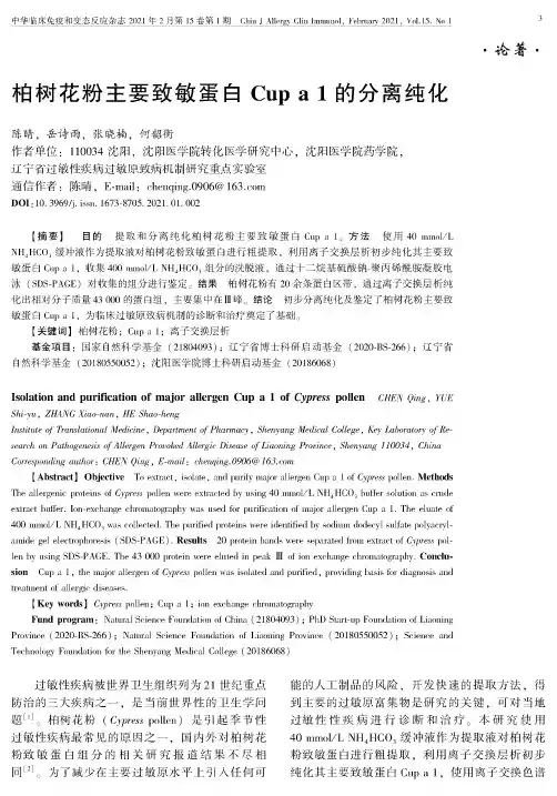 柏树花粉主要致敏蛋白Cup a 1的分离纯化