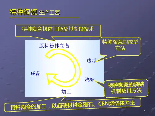 精选特种陶瓷工艺学1PPT47页