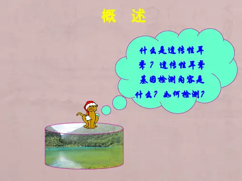 遗传性耳聋检测 (2)精选全文