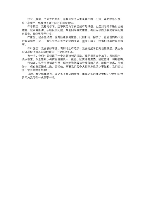 我承担的社会责任