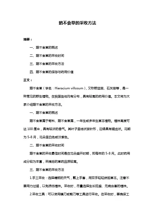 鹅不食草的采收方法