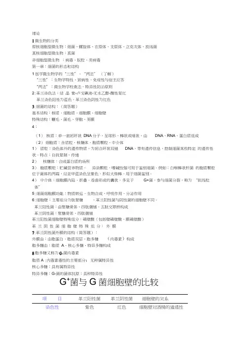 微生物学重点汇总