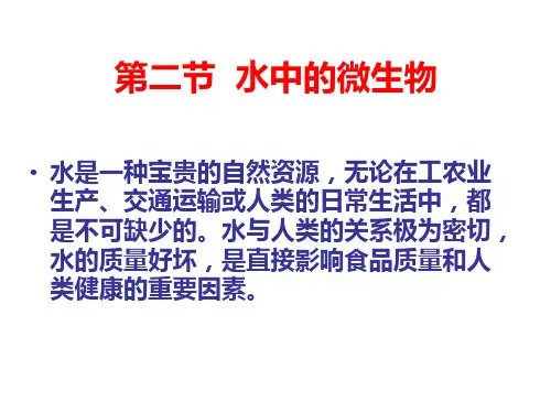2章第二节  水中的微生物