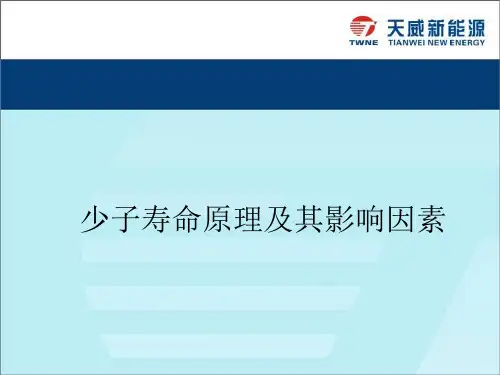 少子寿命测试原理