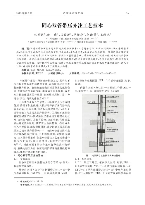 同心双管带压分注工艺技术