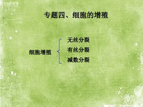 细胞增殖课件精品文档