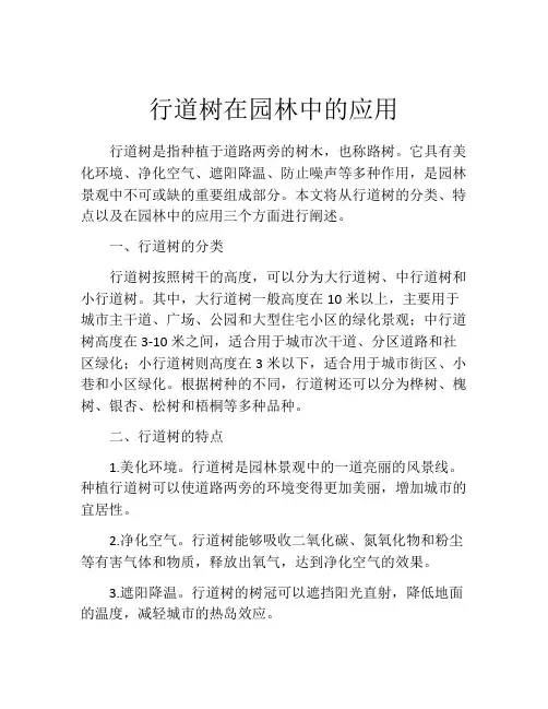 行道树在园林中的应用