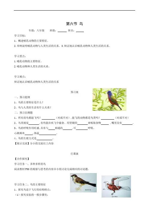 人教版八年级生物上册同步学案：第5单元第1章第6节鸟