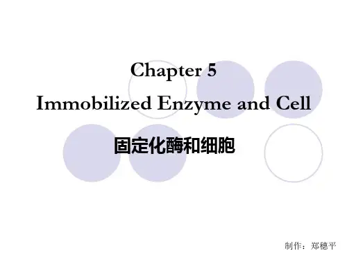 第五章固定化酶和细胞
