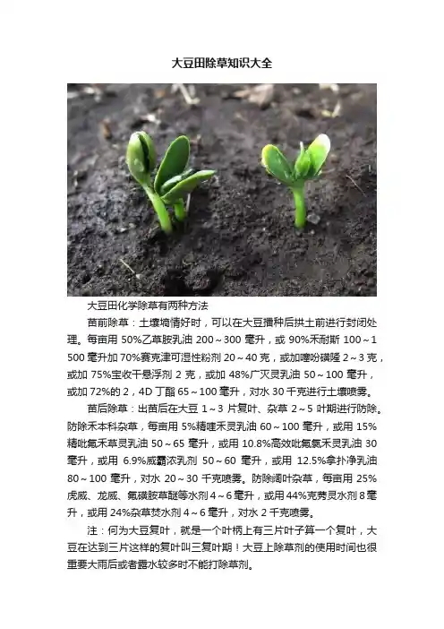 大豆田除草知识大全