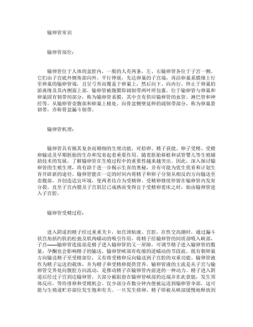 输卵管常识