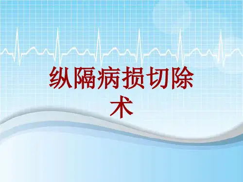 手术讲解模板：纵隔病损切除术