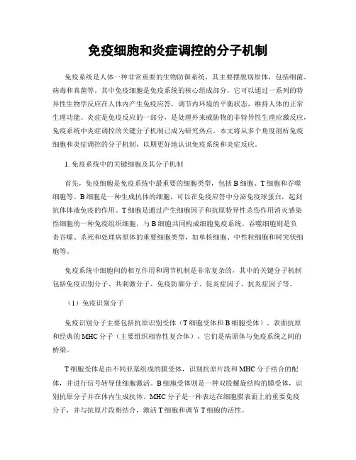 免疫细胞和炎症调控的分子机制
