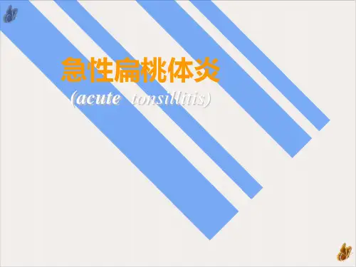 扁桃体讲课ppt课件
