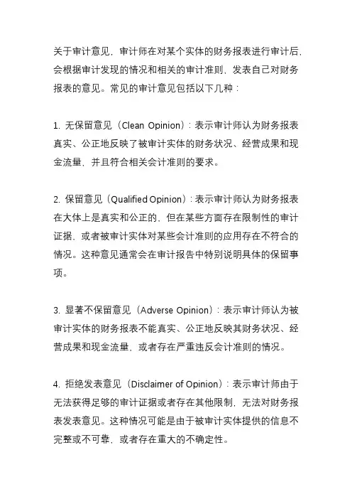 关于审计的意见