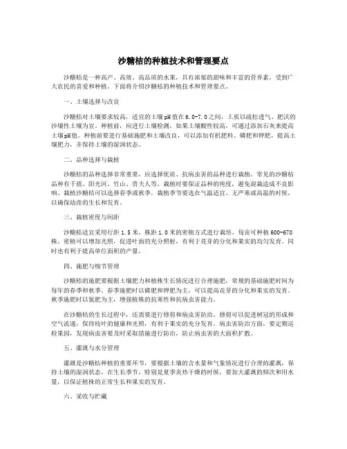 沙糖桔的种植技术和管理要点