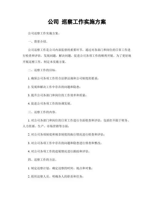 公司 巡察工作实施方案