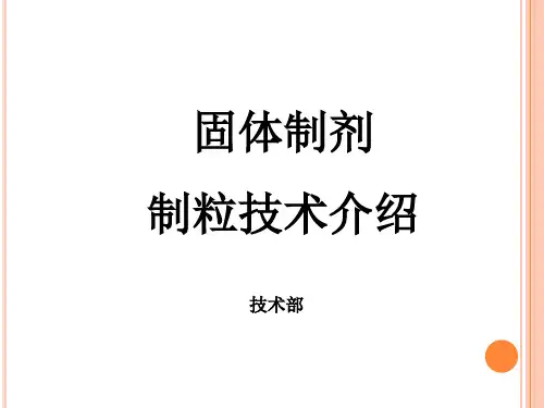固体制剂制粒技术介绍