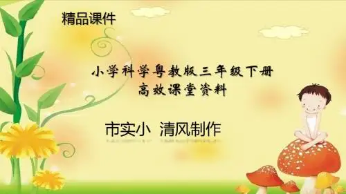 小学科学粤教版三年级下册高效课堂资料《探究技能 质量的测量》课件2
