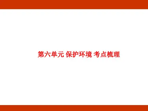 统编版2024-2025学年度语文六年级上册第六单元 保护环境 考点梳理课件(共59张PPT)