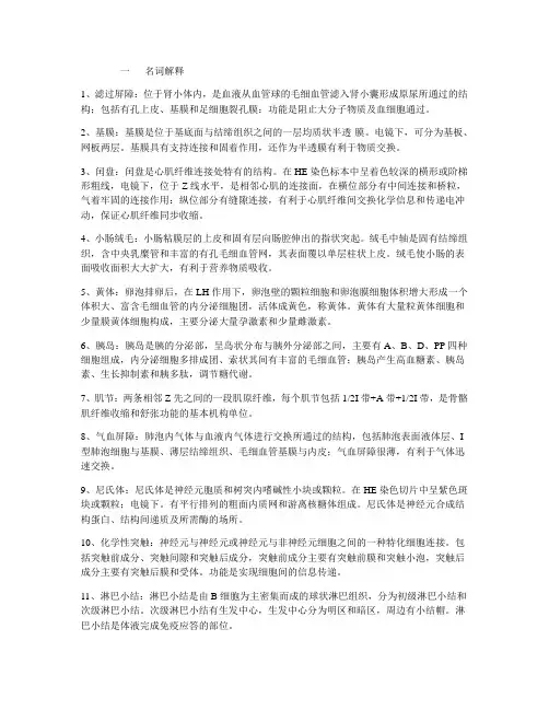 系解名词解释