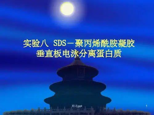 聚丙烯酰胺凝胶电泳ppt课件