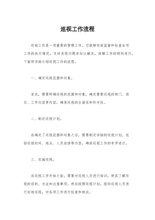 巡视工作流程