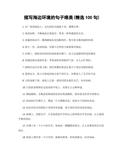 描写海边环境的句子唯美(精选100句)