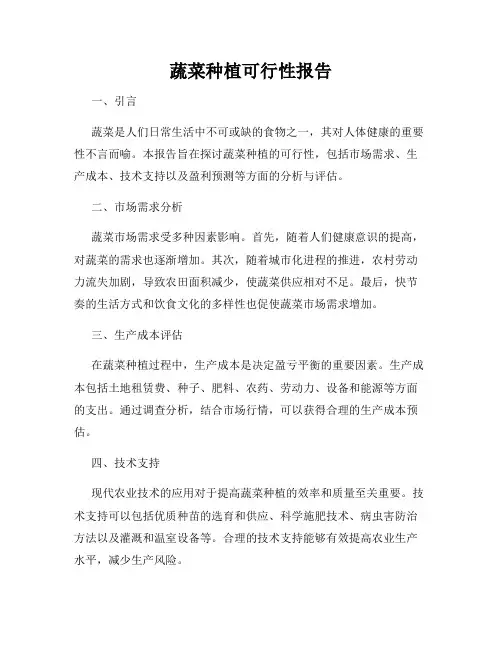 蔬菜种植可行性报告