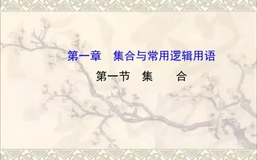 高三数学一轮复习1.1集合课件