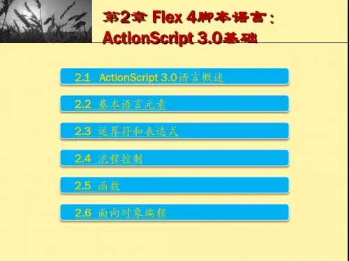第2章 Flex 4脚本语言：ActionScript 3.0基础