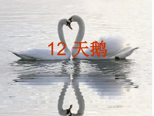 12《天鹅》ppt