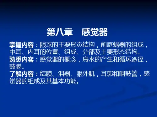 第八章-感觉器ppt课件