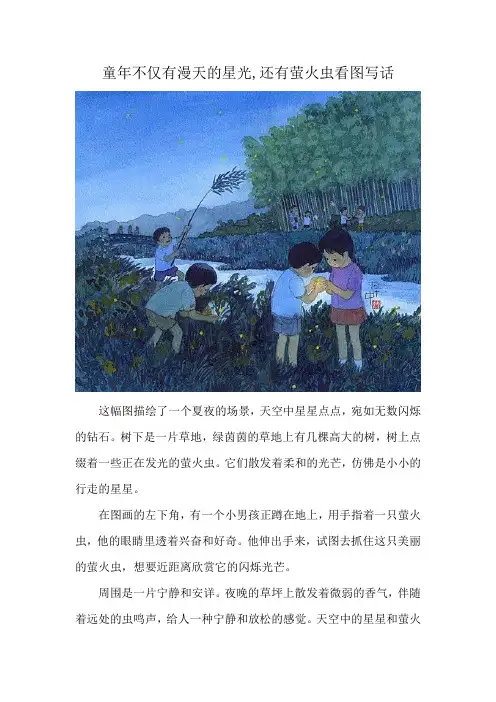 童年不仅有漫天的星光,还有萤火虫看图写话