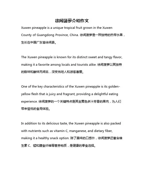 徐闻菠萝介绍作文