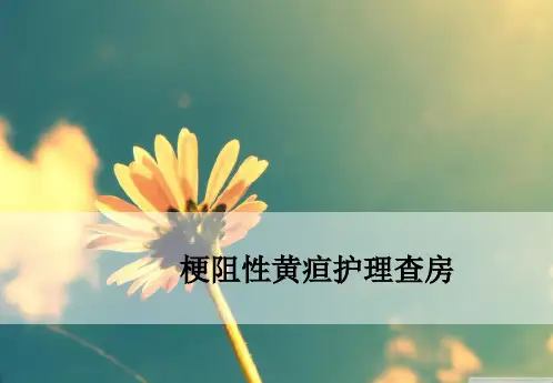 梗阻性黄疸护理查房ppt课件