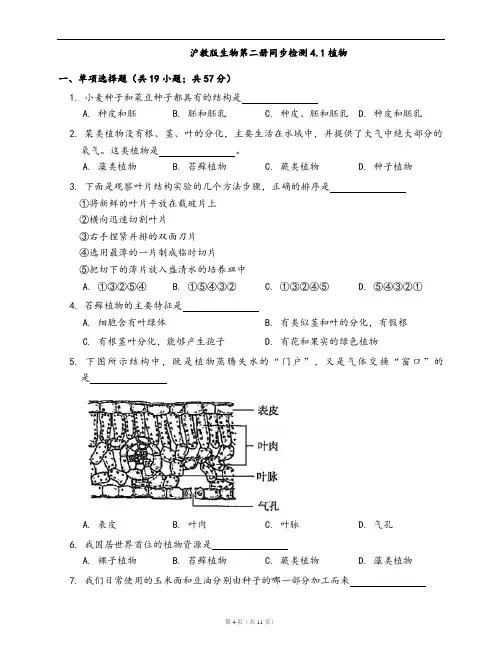 沪教版生物第二册同步检测4.1植物(word版,含答案解析)