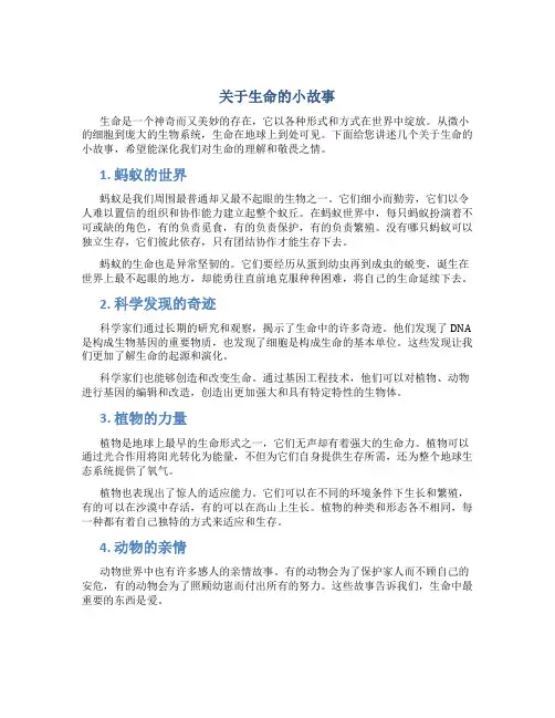 关于生命的小故事