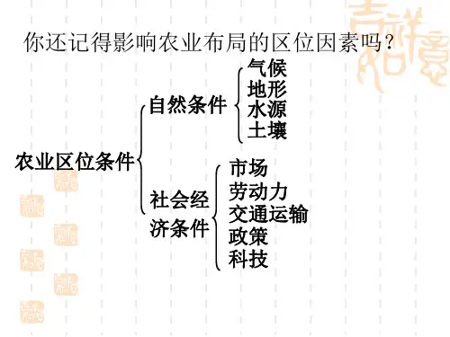 农业与区域可持续发展以东北地区为例PPT精品文档31页