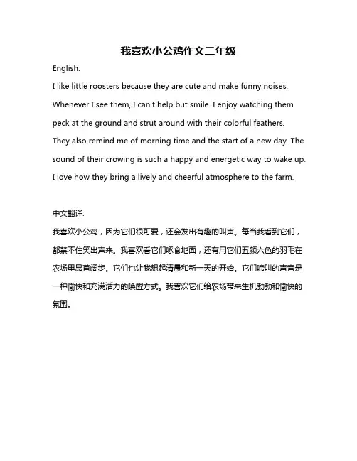 我喜欢小公鸡作文二年级