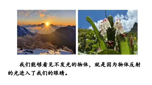 光的反射ppt课件