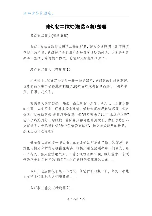 路灯初二作文(精选6篇)整理