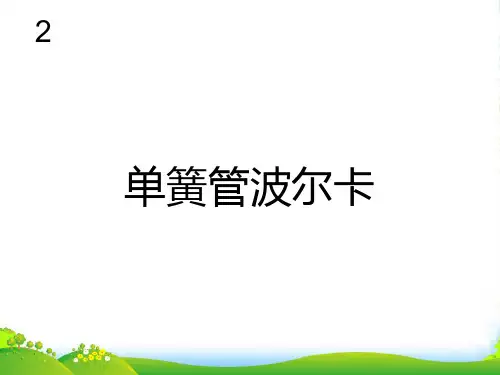 新人教版六年级音乐下册：单簧管波尔卡 五线谱