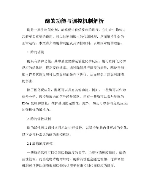 酶的功能与调控机制解析