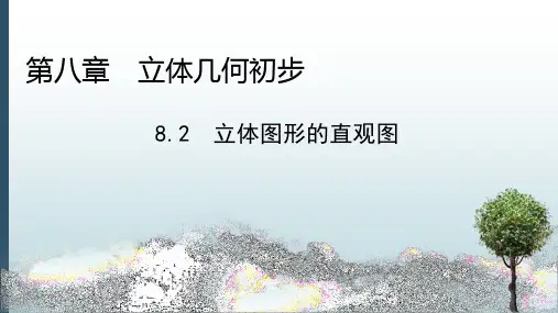 最新人教A版高一数学必修二课件：8.2立体图形的直观图